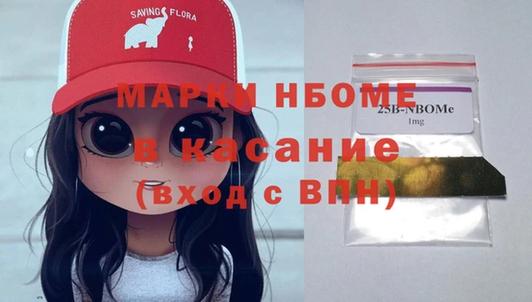 стаф Баксан