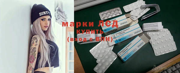 стаф Баксан