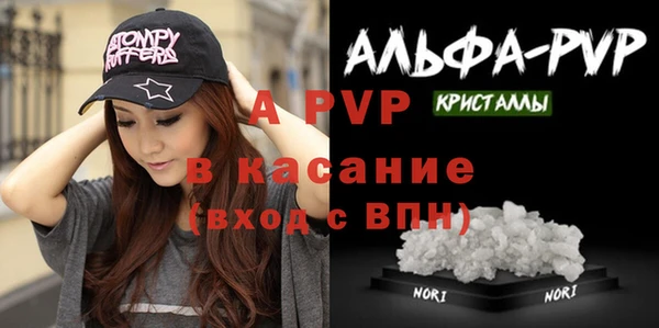 стаф Баксан