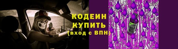 ПСИЛОЦИБИНОВЫЕ ГРИБЫ Балахна
