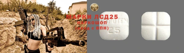 стаф Баксан