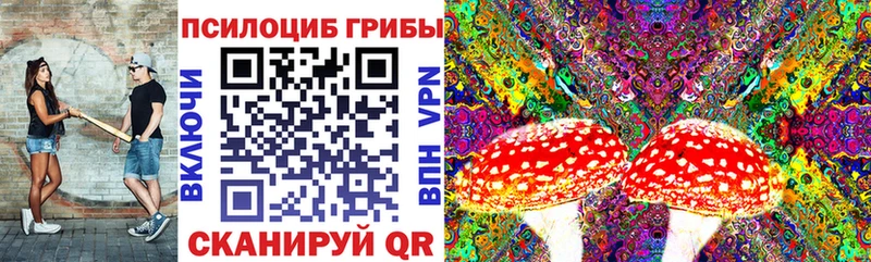 Галлюциногенные грибы MAGIC MUSHROOMS  Вятские Поляны 